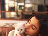 International Cat Day: Cat lovers of Bollywood