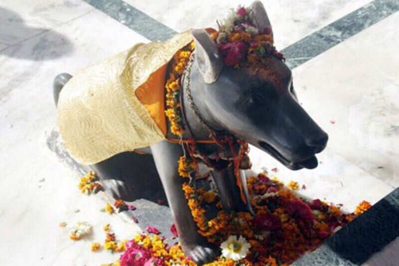 Dog Temple Karnataka