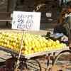 Our grapes can give their mangoes a run for their money
