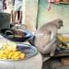 He is our latest Master Chef winner.