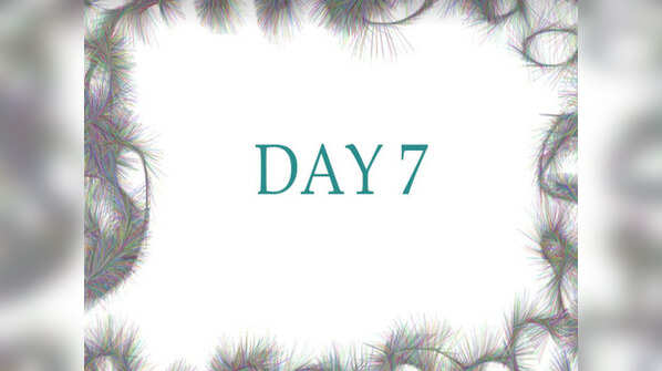 Day 7