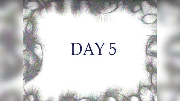 Day 5