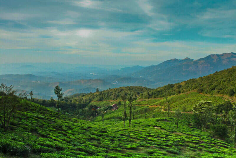cHEMBRA PEAK