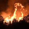 Article image for: Wildfires force evacuations on Croatian coast