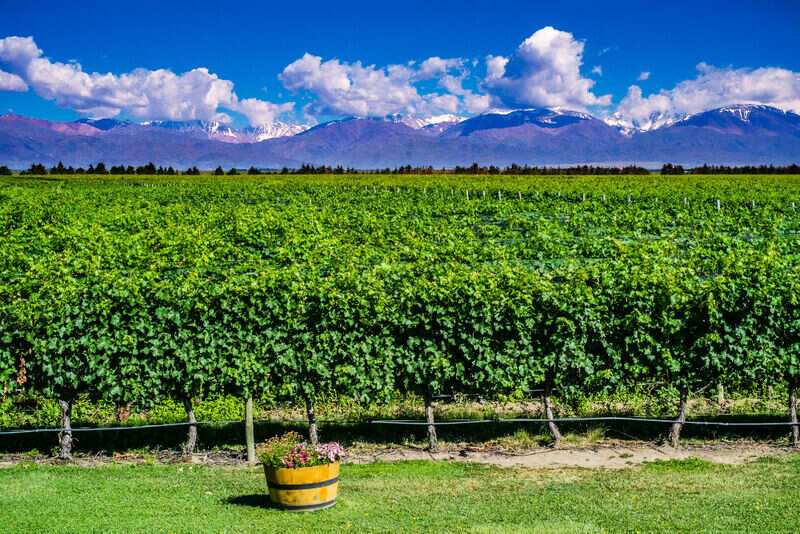Mendoza