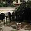 Article image for: Thane: 84-year-old man falls to death from 21st floor