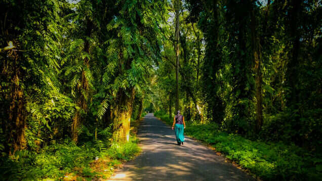 Places to visit in India to spot migratory birds