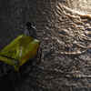 Article image for: Heavy rains bring Bengaluru to its knees