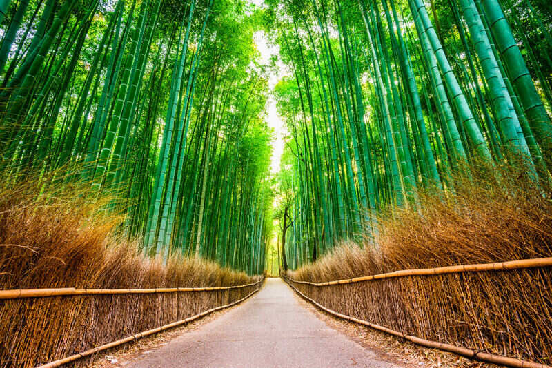 Kyoto
