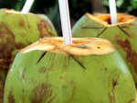 Is coconut water good for you?