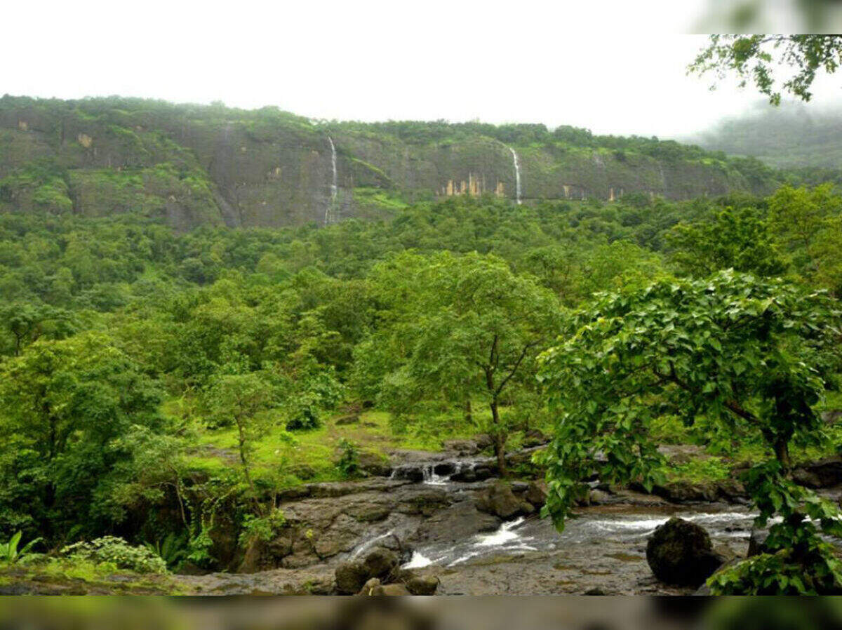 भिमाशंकर वन्यजीव अभयारण्य