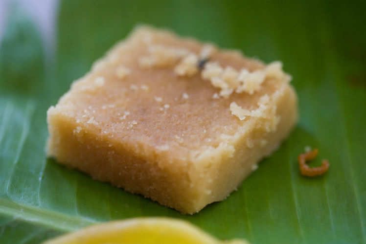 Diwali special sweets—dessert platters from different Indian states