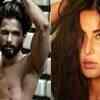 Article image for: Shahid Kapoor to romance Katrina Kaif in ‘<i class="tbold">roshini</i>’
