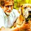 Remembering his pet and friend Shounak
