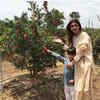 Organic love