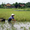 Article image for: Vietnam braces for <i class="tbold">typhoon khanun</i> after floods