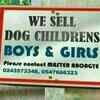 Becasue Puppy is too mainstream
