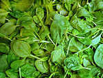 Green leafy vegetables