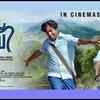 Article image for: Paaripparakkoo Kili - <i class="tbold">aby</i>