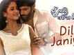 Dil Janiye | Song - Mu Khanti Odia Jhia