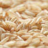 Brown rice protein