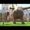 Article image for: <i class="tbold">zootopia</i> Video -1