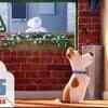 Article image for: The Secret Life of Pets - Meet Max & Gidget (HD) - Illumination