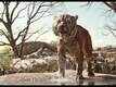 Dialogue Promo  - The Jungle Book