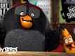 Dialogue Promo - The Angry Birds