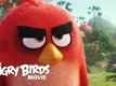 The Angry Birds Movie - Official Teaser Trailer (HD)