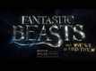 TV Spot - Fantastic Beasts And Where To Find Them