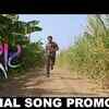Article image for: <i class="tbold">sairat</i> Video -9
