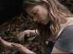 The Forest Video -4