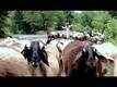 UNHACHA GAVAT DHANGARWADA_SONG_FILM DHANGARWADA