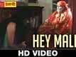 Hey Malik - Journey Premachi