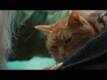 Dialogue Promo - A Street Cat Named Bob