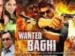 Official Trailer - Wanted Baghi