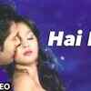 Article image for: 'Hai Koi' VIDEO Song | <i class="tbold">chor bazaari</i> | Gajendra Verma | T-Series