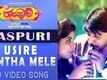 Usire Nintha Mele - Raspuri