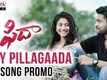 Hey Pillagaada | Song - Fidaa