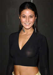 Pictures of emmanuelle chriqui