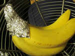 To keep bananas last longer