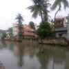 Virugambakkam canal, Chinmaya Nagar. Water is nearing the brim.