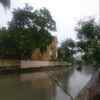 Virugambakkam canal, Chinmaya Nagar.
