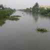Photo of overflowing South Buckingham Canal