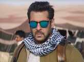 Tiger Zinda Hai