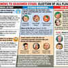 Election of all flavours