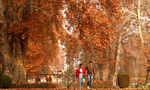 In Photos: Kashmir welcomes autumn and the pictures will take your breath away