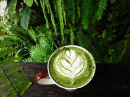 Facts about green coffee that will shock you