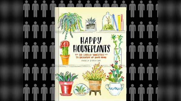 For your friend who's killed every plant they've had